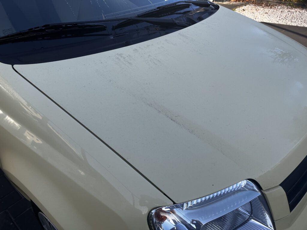 Fiat Panda interieur reiniging